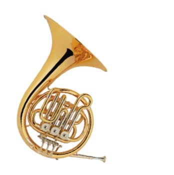 Concord Waldhorn (French Horn)